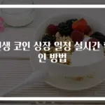 신생 코인 상장 일정 실시간 확인 방법