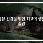 심장 건강을 위한 최고의 생활 습관