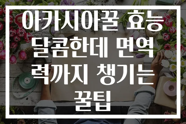 아카시아꿀 효능 달콤한데 면역력까지 챙기는 꿀팁