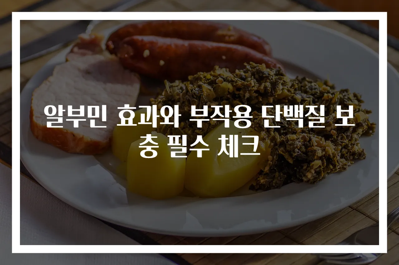알부민 효과와 부작용 단백질 보충 필수 체크