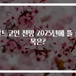 알트코인 전망 2025년에 뜰 종목은?