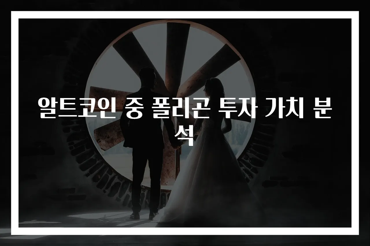 알트코인 중 폴리곤 투자 가치 분석