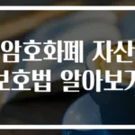 암호화폐 자산 보호법 알아보기