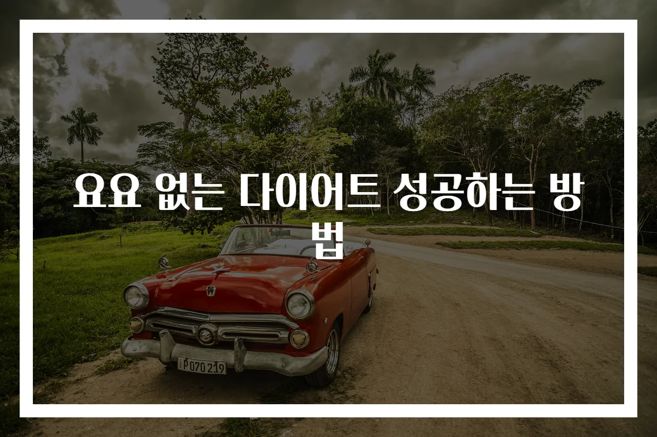 요요 없는 다이어트 성공하는 방법
