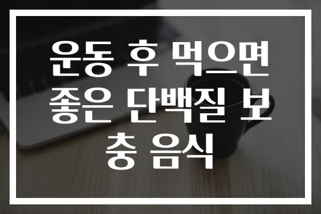 운동 후 먹으면 좋은 단백질 보충 음식