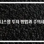유니스왑 투자 방법과 주의사항