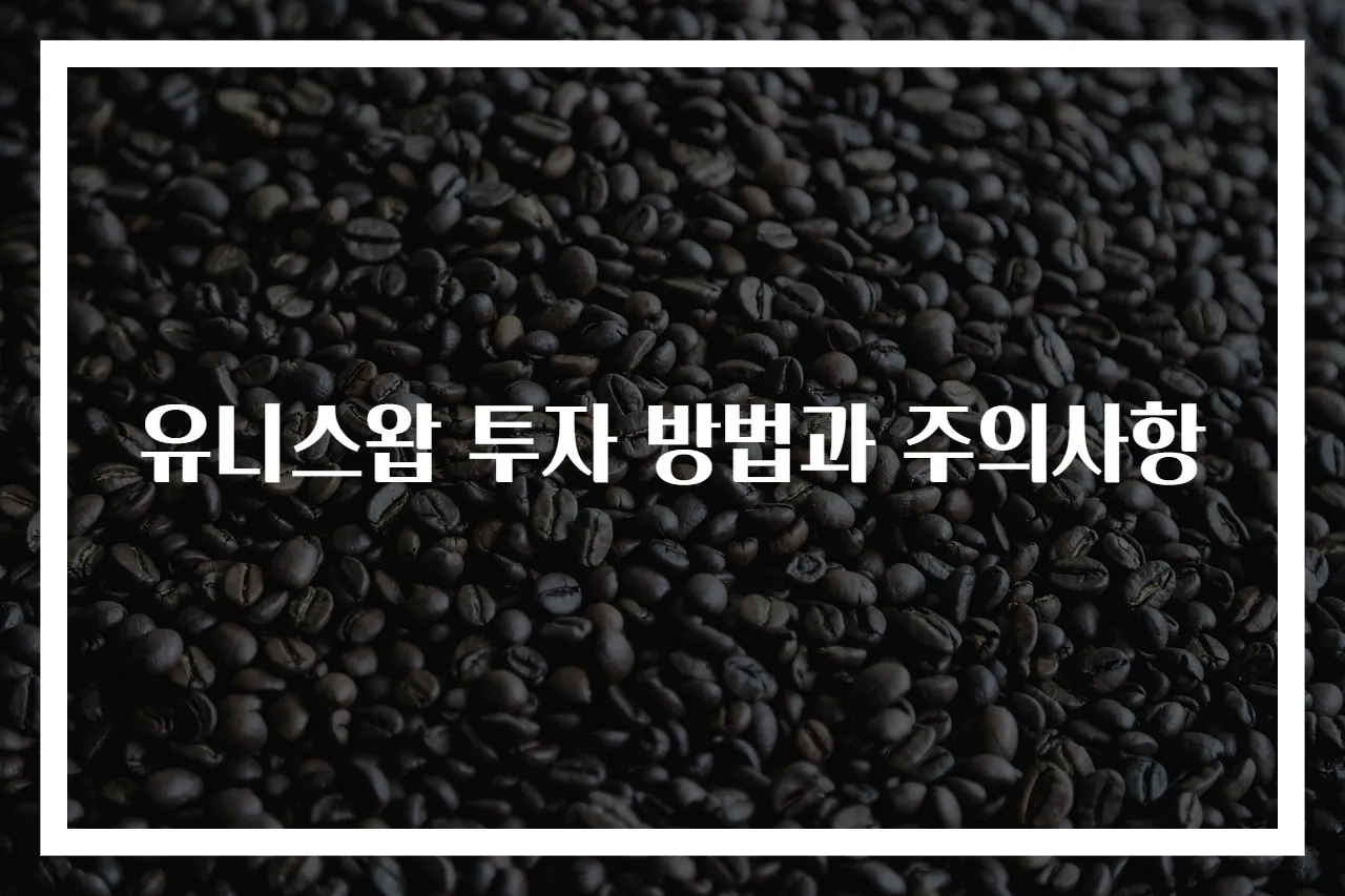 유니스왑 투자 방법과 주의사항
