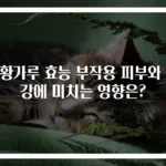 유황가루 효능 부작용 피부와 건강에 미치는 영향은?