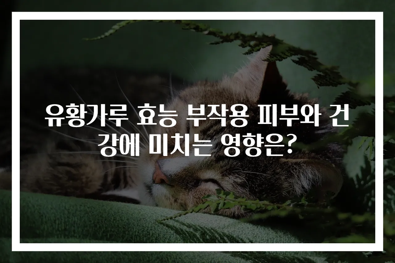 유황가루 효능 부작용 피부와 건강에 미치는 영향은?