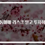 자동매매 리스크 알고 투자하자