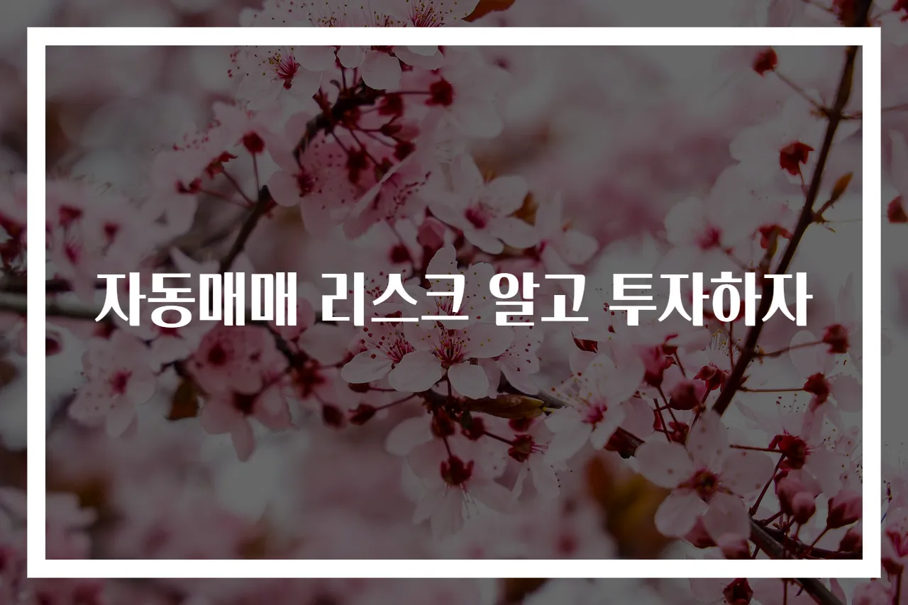 자동매매 리스크 알고 투자하자