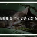 자동매매 봇 수익 인증 리뷰 모음