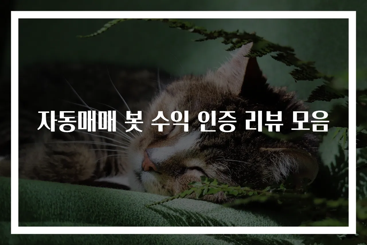 자동매매 봇 수익 인증 리뷰 모음