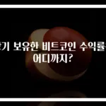 장기 보유한 비트코인 수익률은 어디까지?