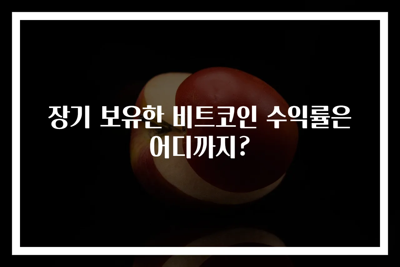 장기 보유한 비트코인 수익률은 어디까지?