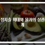 재정지출 확대와 물가의 상관관계