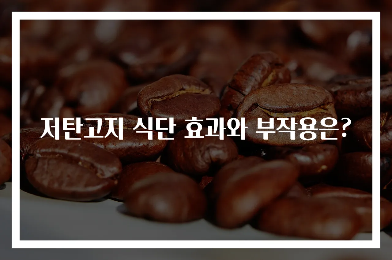 저탄고지 식단 효과와 부작용은?