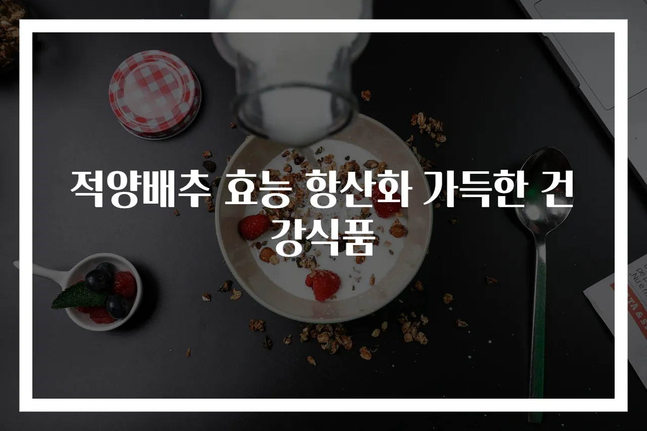적양배추 효능 항산화 가득한 건강식품