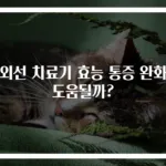 적외선 치료기 효능 통증 완화에 도움될까?