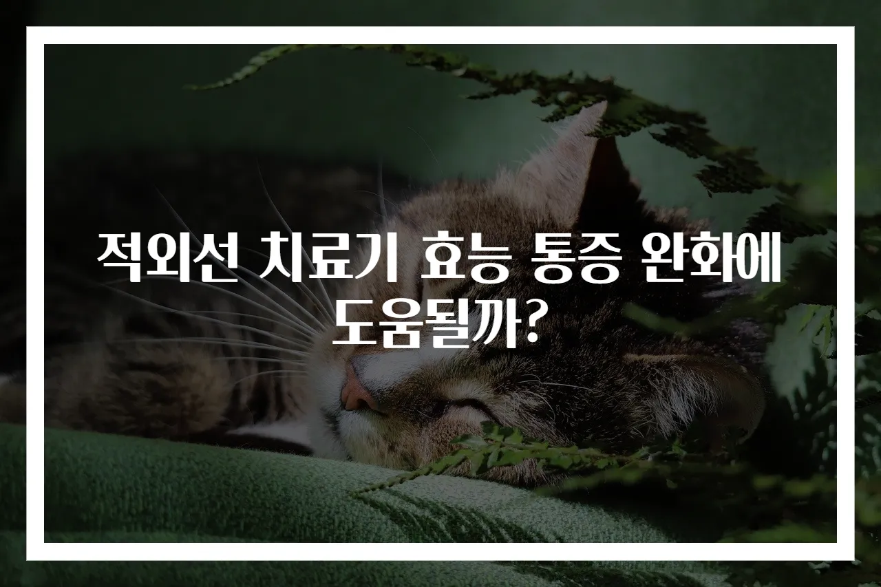 적외선 치료기 효능 통증 완화에 도움될까?