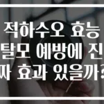 적하수오 효능 탈모 예방에 진짜 효과 있을까?