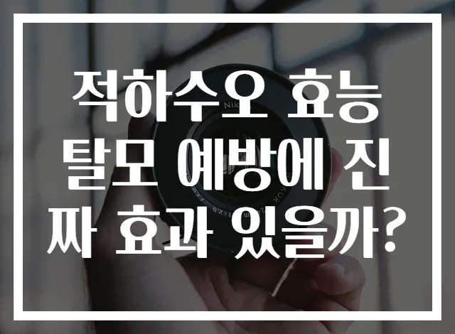 적하수오 효능 탈모 예방에 진짜 효과 있을까?