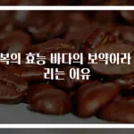 전복의 효능 바다의 보약이라 불리는 이유