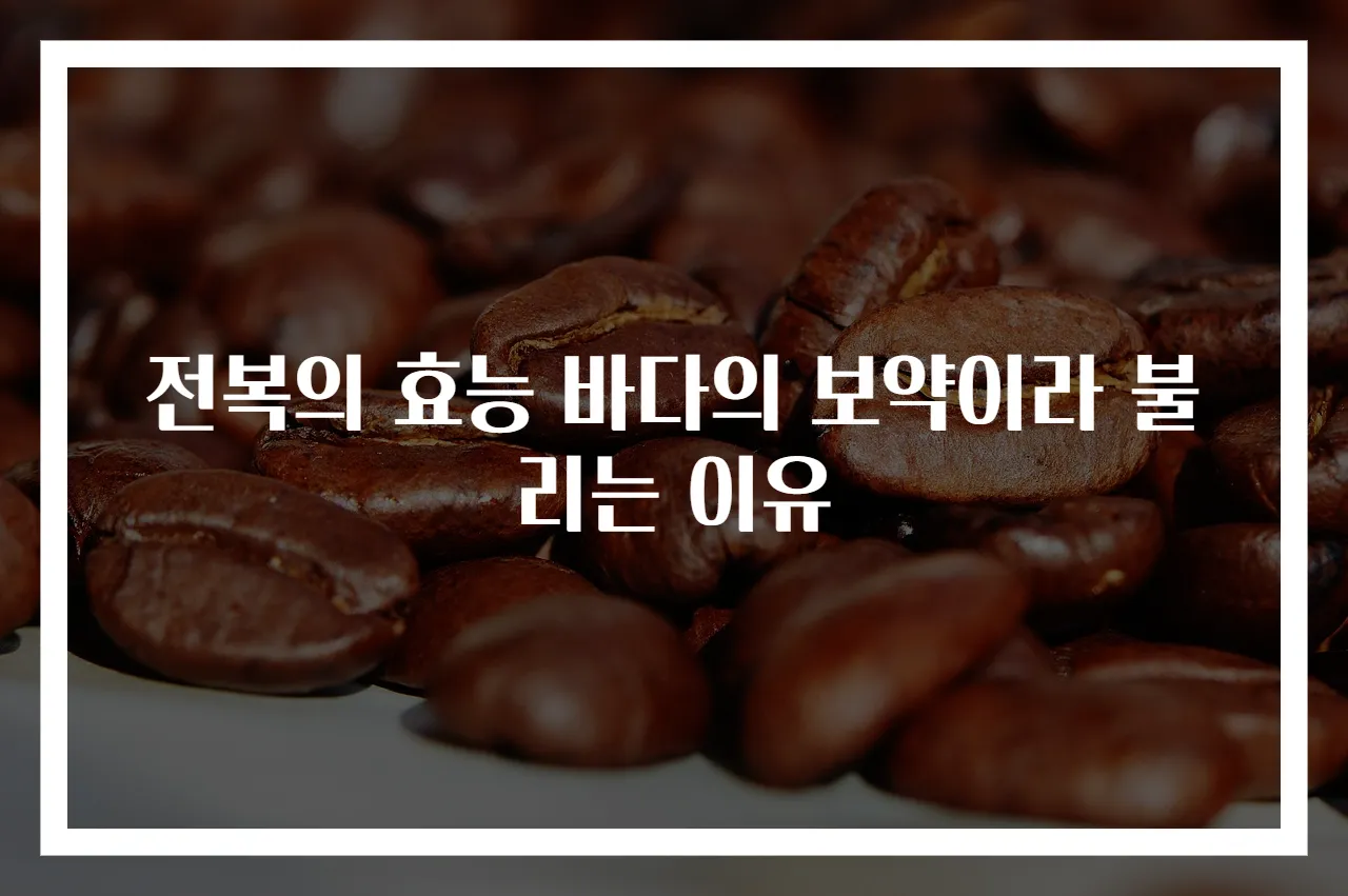 전복의 효능 바다의 보약이라 불리는 이유