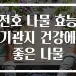 전호 나물 효능 기관지 건강에 좋은 나물