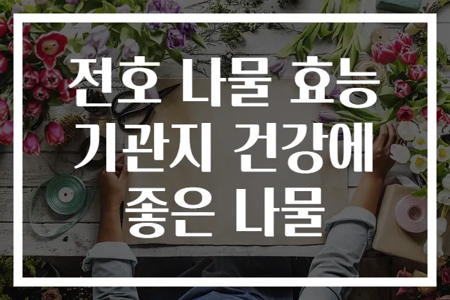 전호 나물 효능 기관지 건강에 좋은 나물
