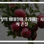 정보의 비대칭이 초래하는 사회적 손실