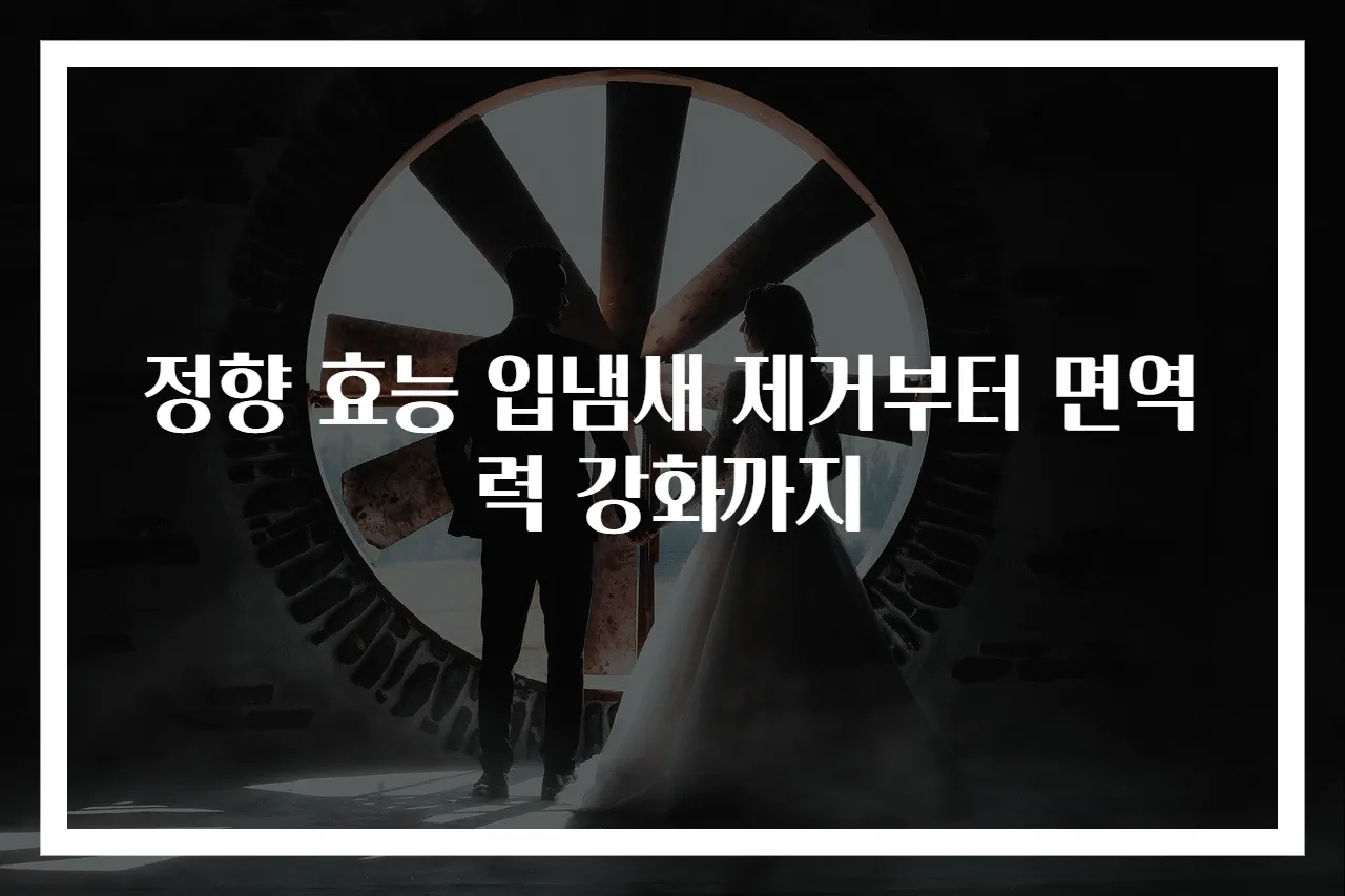 정향 효능 입냄새 제거부터 면역력 강화까지