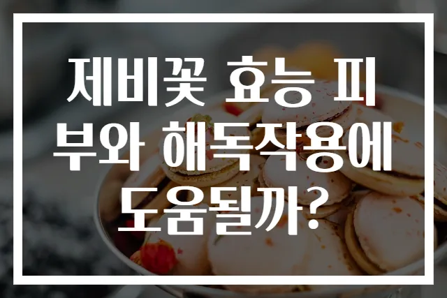 제비꽃 효능 피부와 해독작용에 도움될까?