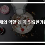 조세의 역할 왜 꼭 필요한가요?