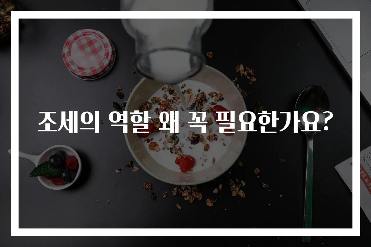 조세의 역할 왜 꼭 필요한가요?