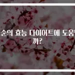 죽순의 효능 다이어트에 도움될까?