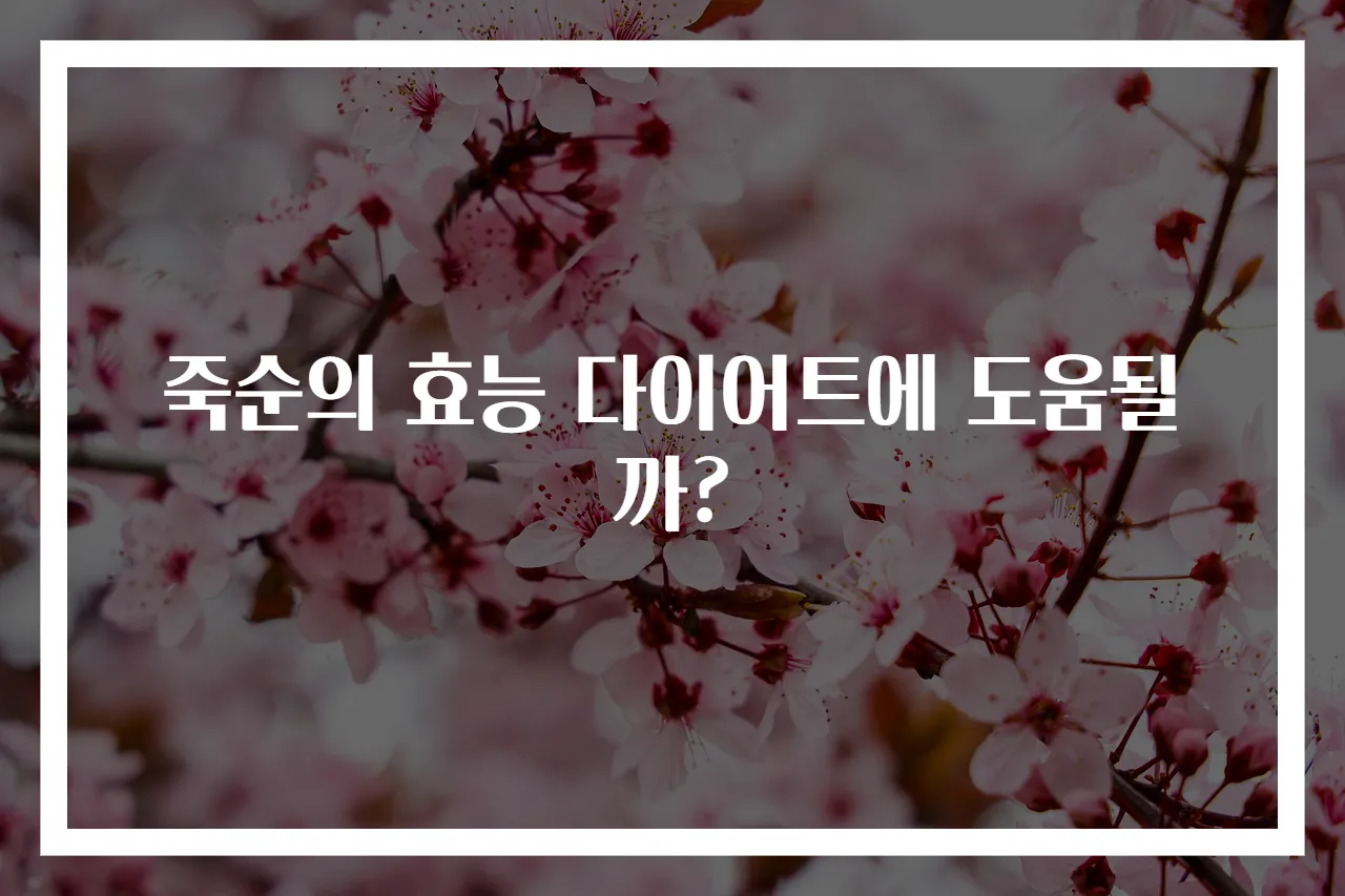 죽순의 효능 다이어트에 도움될까?