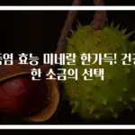 죽염 효능 미네랄 한가득! 건강한 소금의 선택