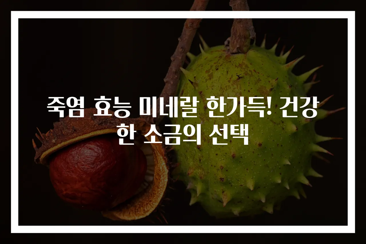 죽염 효능 미네랄 한가득! 건강한 소금의 선택