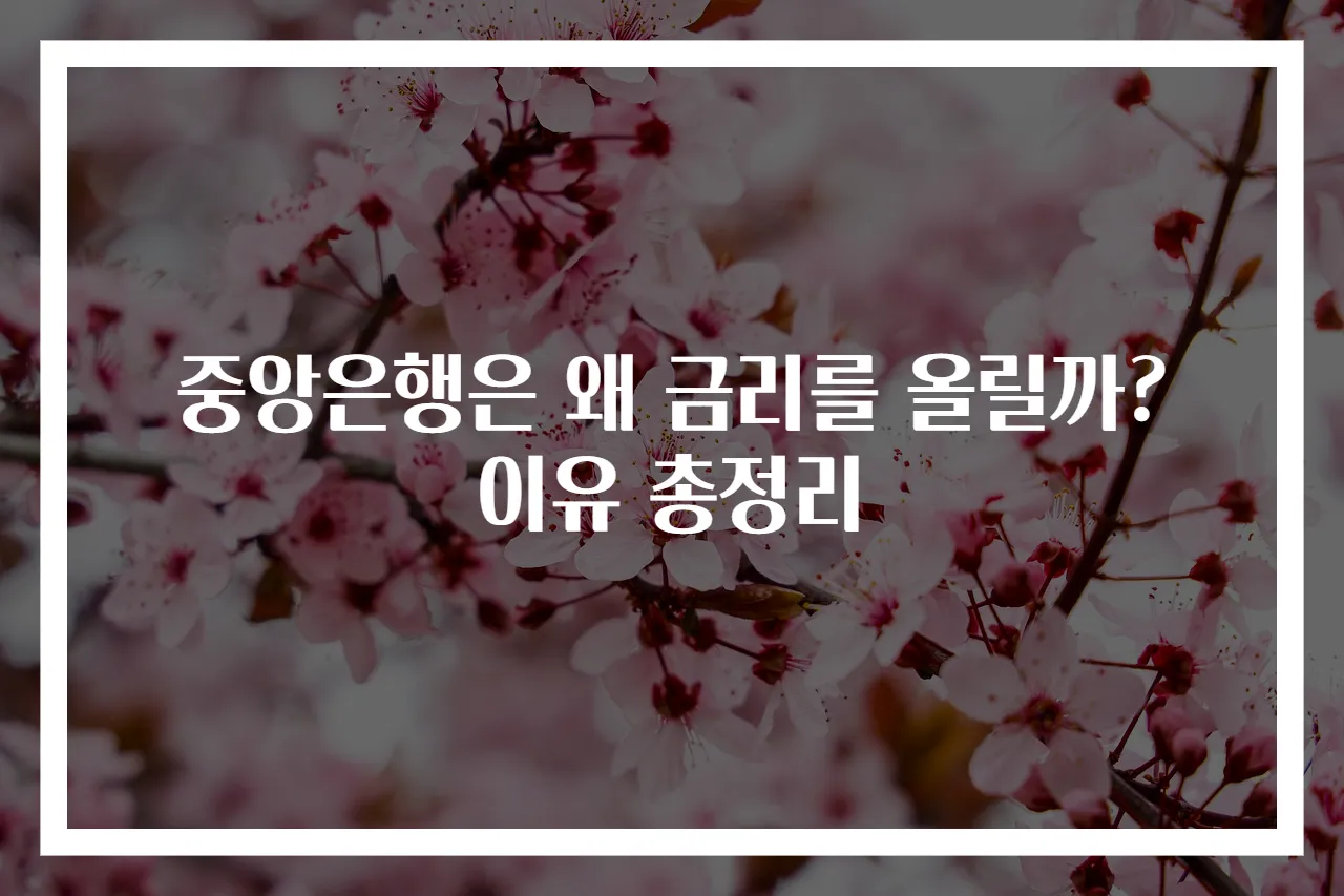 중앙은행은 왜 금리를 올릴까? 이유 총정리