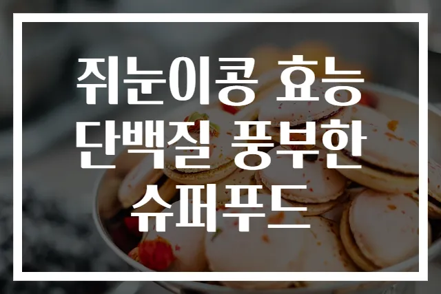 쥐눈이콩 효능 단백질 풍부한 슈퍼푸드