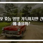쥐포 효능 영양 가득하지만 건강에 좋을까?
