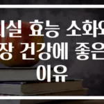 지실 효능 소화와 장 건강에 좋은 이유
