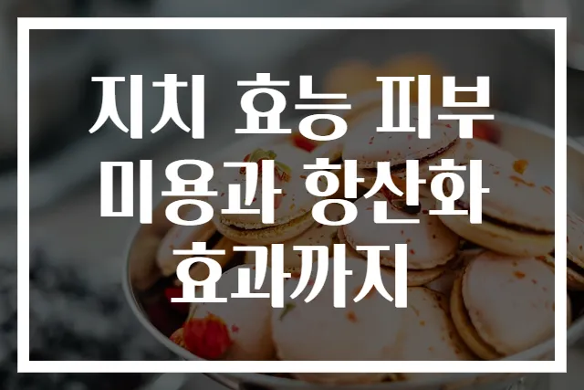 지치 효능 피부 미용과 항산화 효과까지