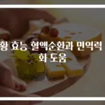 지황 효능 혈액순환과 면역력 강화 도움