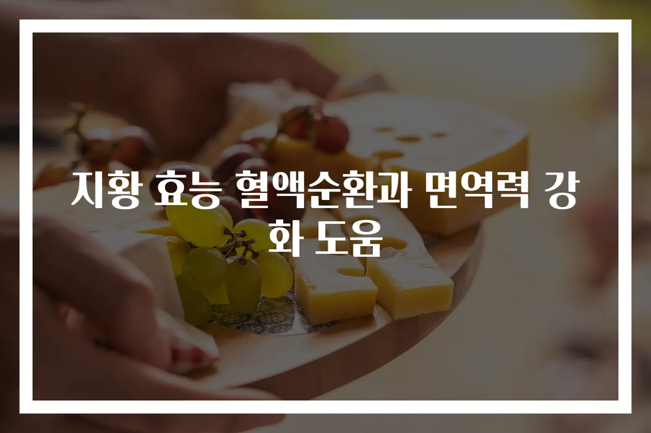 지황 효능 혈액순환과 면역력 강화 도움