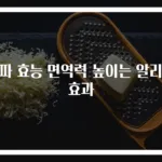 쪽파 효능 면역력 높이는 알리신 효과