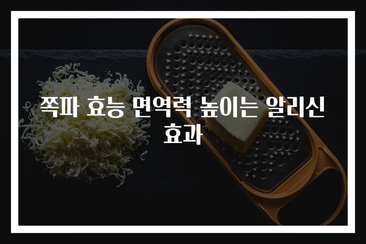 쪽파 효능 면역력 높이는 알리신 효과