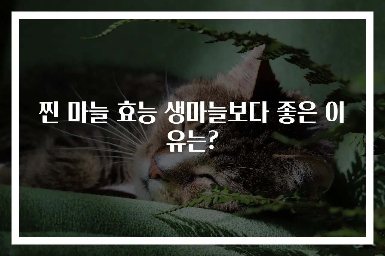 찐 마늘 효능 생마늘보다 좋은 이유는?