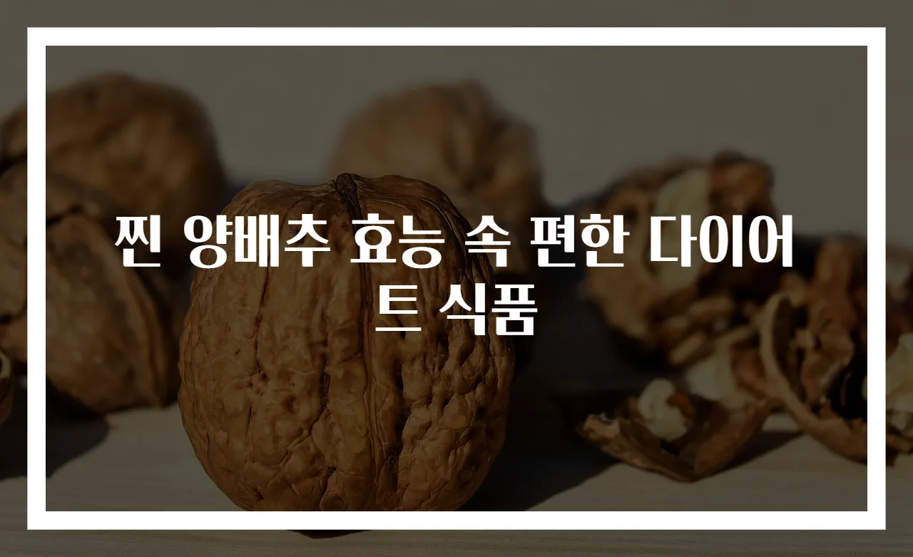찐 양배추 효능 속 편한 다이어트 식품